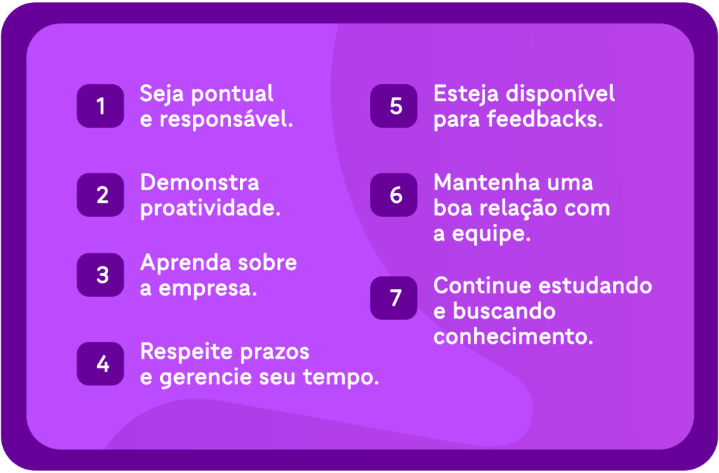 7 dicas essenciais